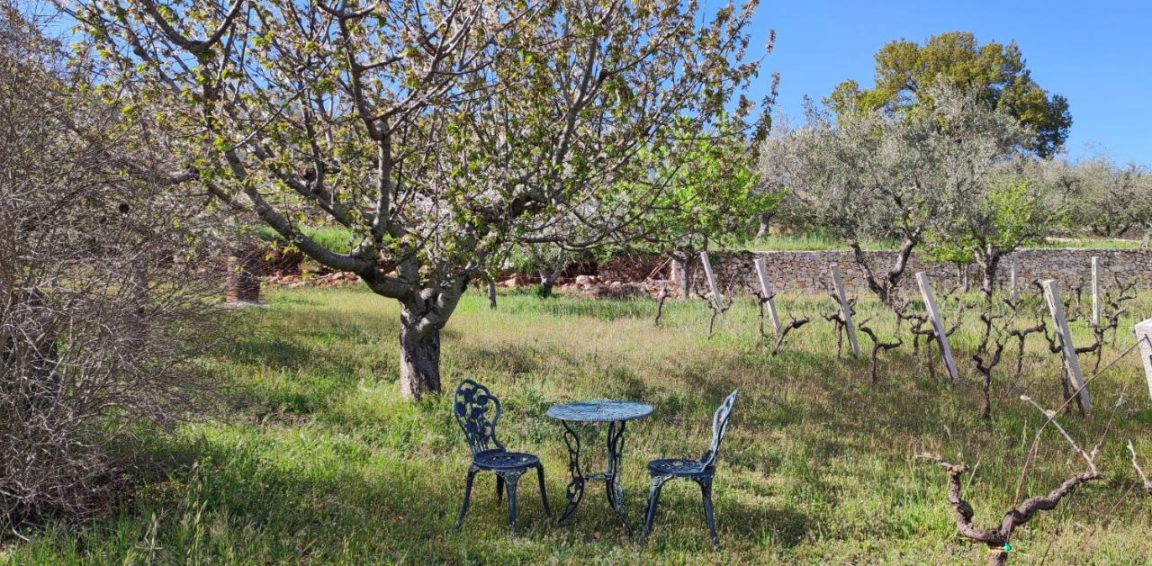 Il Vigneto Sole&Luna Con Piscina Privata マルティナ・フランカ エクステリア 写真